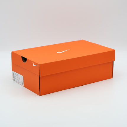 IB5169-500 Nike  Vomero 18 SE Amethyst Tint Hydrangeas Phantom Metallic(Women's)