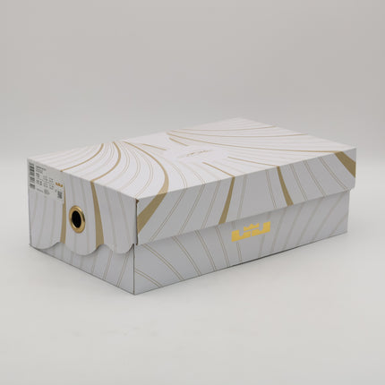 FN0709-400 Nike LeBron 21 Abalone (Men's)