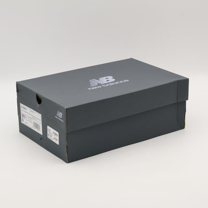 M1906REU New Balance 1906R Metallic Silver Green (Men's)