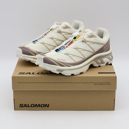 L47737700 Salomon XT-6  Vanillaice Iron (Men's)