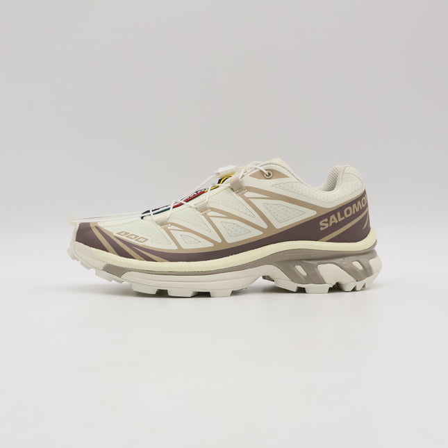 L47737700 Salomon XT-6  Vanillaice Iron (Men's)