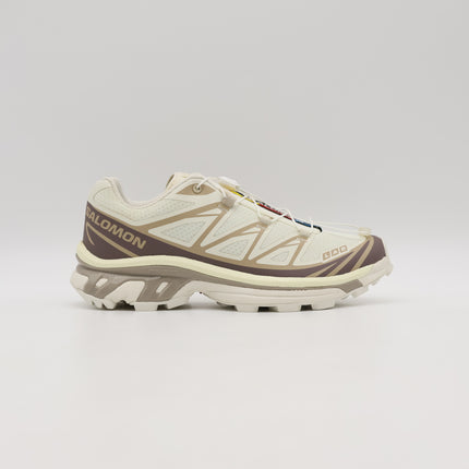 L47737700 Salomon XT-6  Vanillaice Iron (Men's)