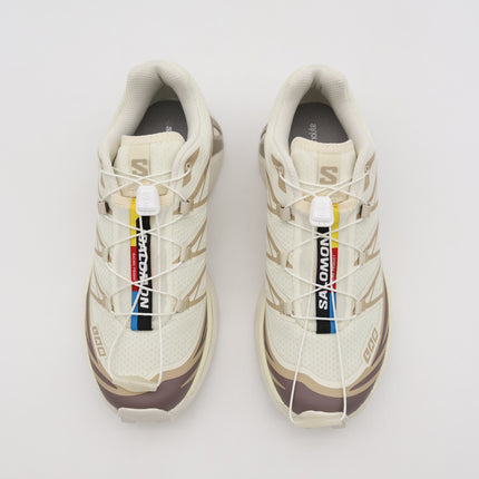 L47737700 Salomon XT-6  Vanillaice Iron (Men's)