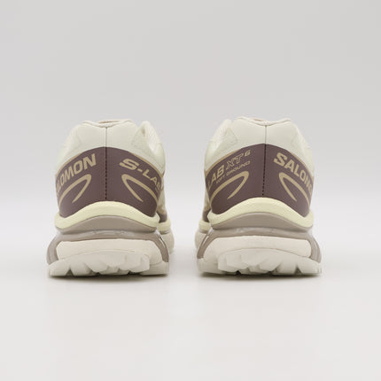 L47737700 Salomon XT-6  Vanillaice Iron (Men's)