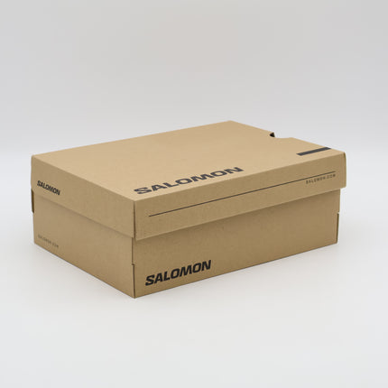 L47737700 Salomon XT-6  Vanillaice Iron (Men's)