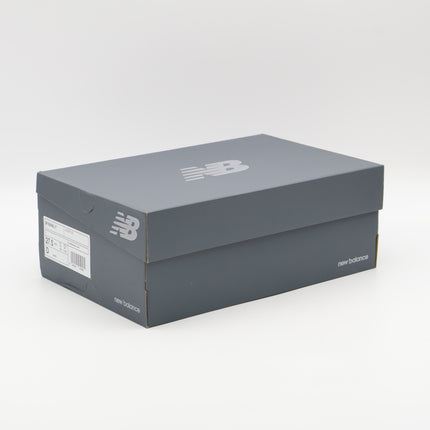 M1906NLY New Balance 1906R Lunar New Year Sea Salt (Men's)