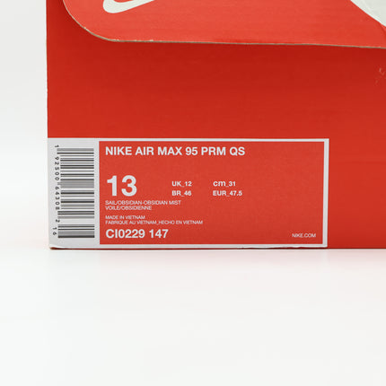 CI0229-147 Nike Air Max 95 Just Do It Mt. Fuji (Men's)