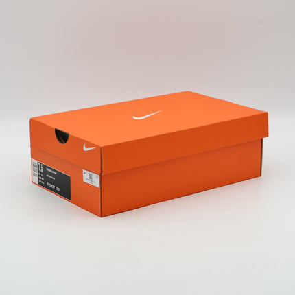 FQ7837-201 Nike Pegasus EasyOn Cave Stone Dark Smoke Grey Light Orewood (Men's)