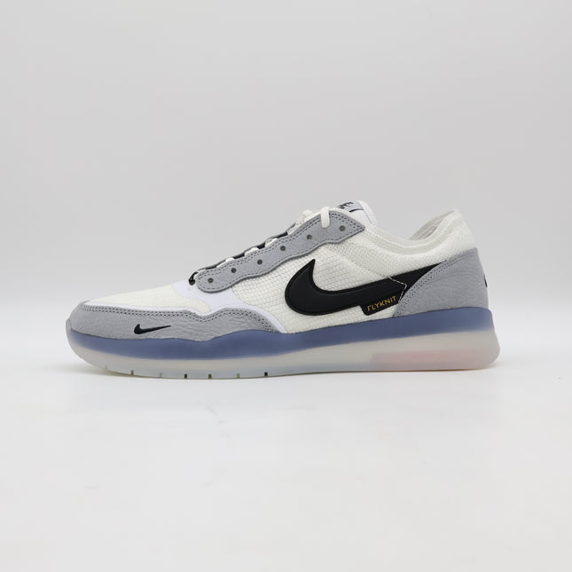 FV8493-004 Nike SB PS8 Shoes (Men's)